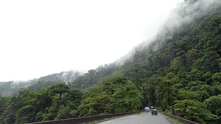 Costa Rican sademetsää.