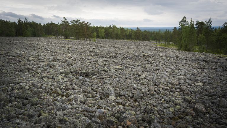 Pyhävuoren muinaisranta Kristiinankaupungissa. 