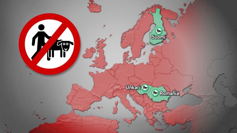 Suomen lisäksi Unkari ja Romania ovat ainoat EU-maat, joissa eläinseksi ei ole laissa kielletty. 