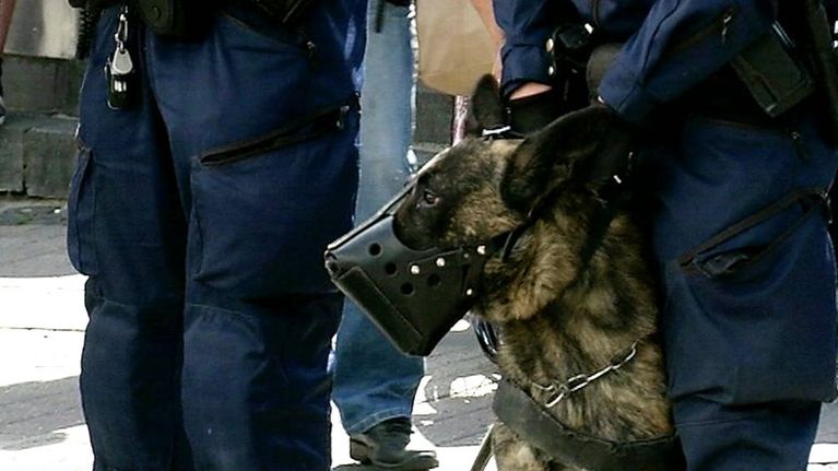 Poliiseja ja poliisikoira lauantain mielenosoituksessa Jyväskylässä.