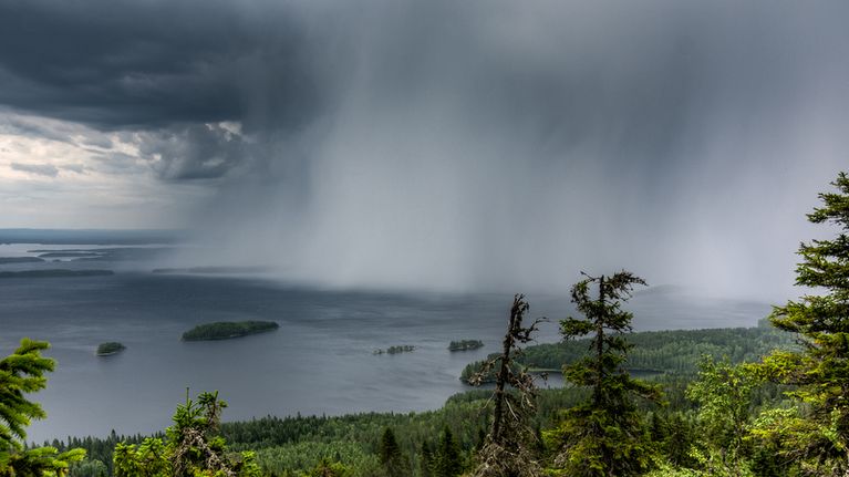 Sadeseinämä Pielisellä.