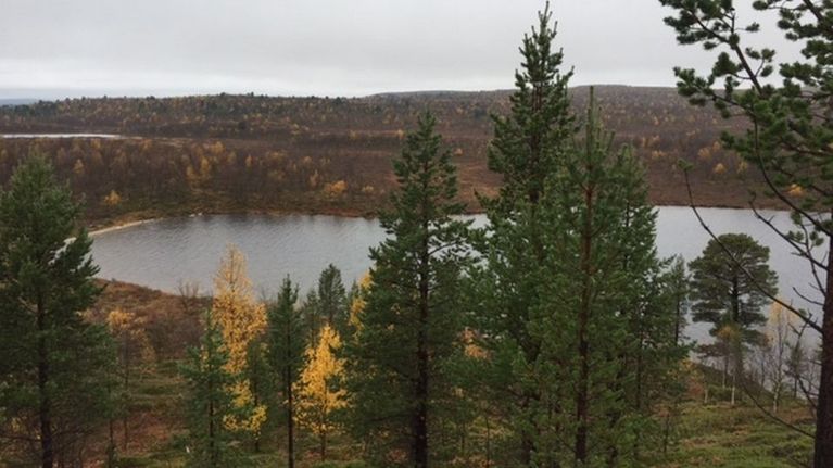 Maisema kairassa.