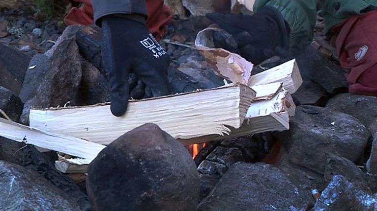 Koivuhalkoa asetetaan nuotioon. 