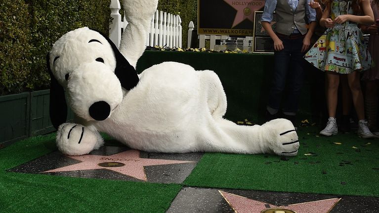 Ressu-koira poseeraa näyttelijöille Hollywoodin Walk of Famelle saamansa tähden äärellä.