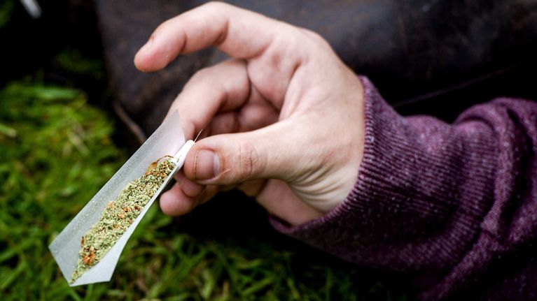 Kannabissätkä.