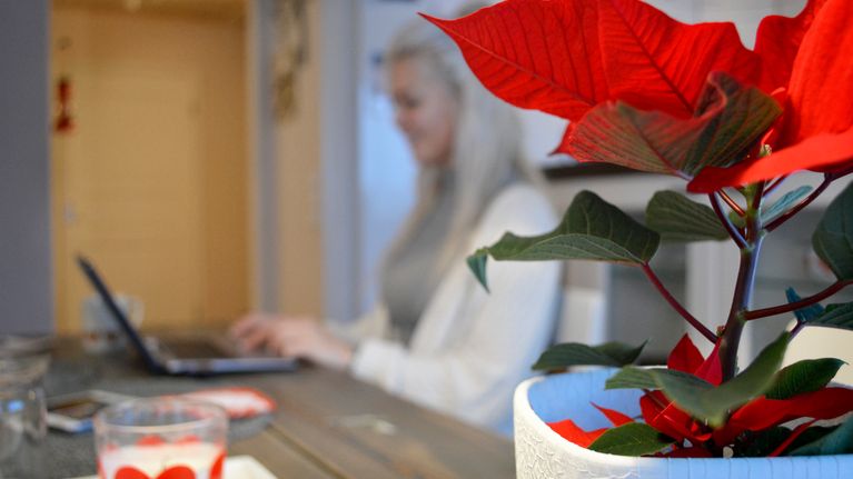 Joulutähti Mäkisen pöydällä. 