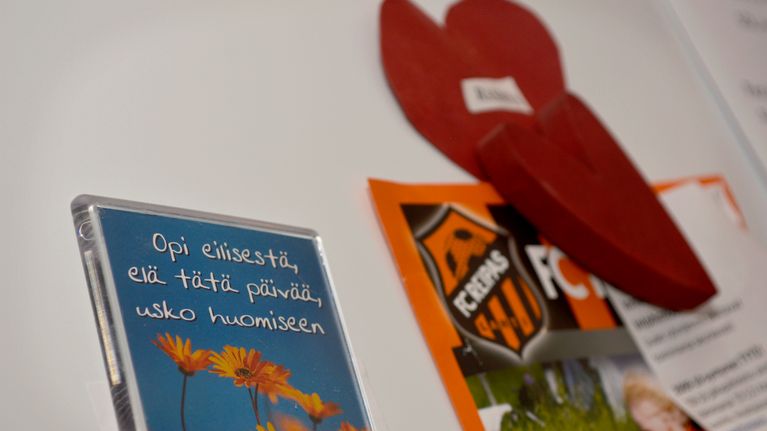 Jääkaappimagneetteja.