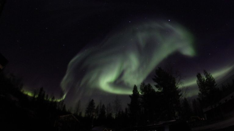Revontulet piirsivät suden Pajalan taivaalle.