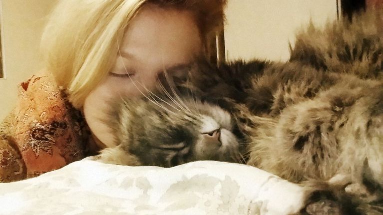 Pia löysi kuusi vuotta kadoksissa olleen Pörri-kissan Facebookista.