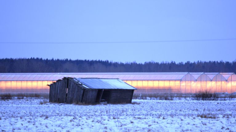 Kasvishuone Närpiössä pellolla