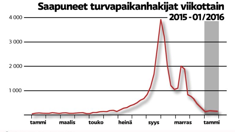 Viikottaiset hakijamäärät 2015-tammikuu 2016