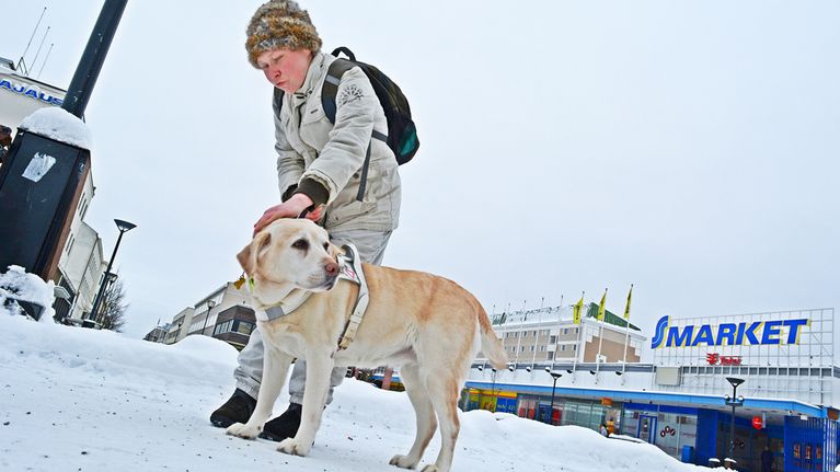 Koira Kajaanin raatihuoneentorilla.