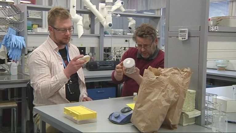 Sienitutkijat Henri Vanhanen (vas.) ja Ari Pappinen Itä-Suomen yliopiston laboratoriossa. 