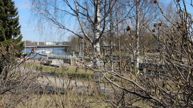 Kevät.