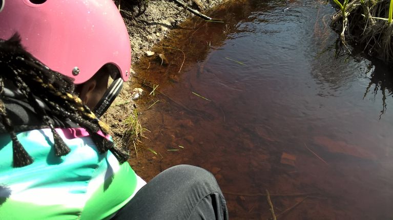 Sammakonkudun etsiminen ja tarkkailu on aina ollut lapsille mieluista keväthommaa.