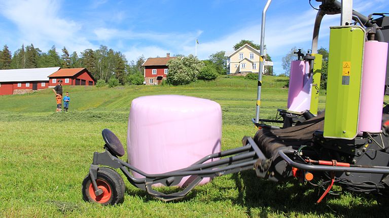 Pinkkejä paaleja pellolla.