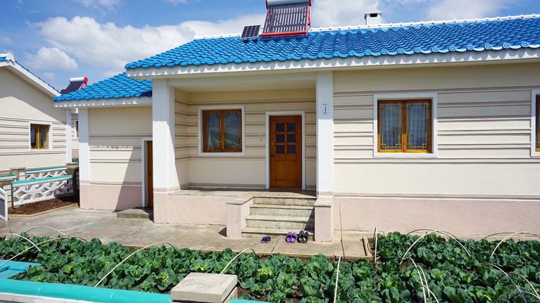 Jokaisen omakotitalon piha on täynnä vihannesviljelmiä, mikä kertaa elintarvikepulasta.