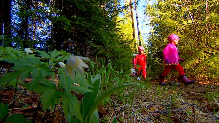 Suolahden metsäeskari.