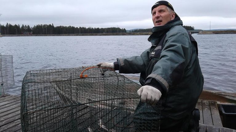 Taisto Törmänen Kemijärvi