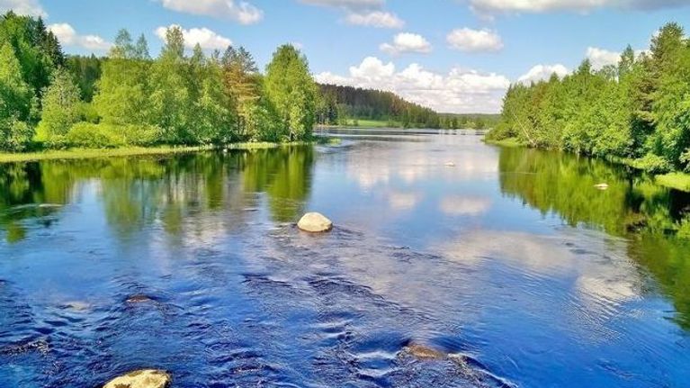 Järvimaisema kesällä.