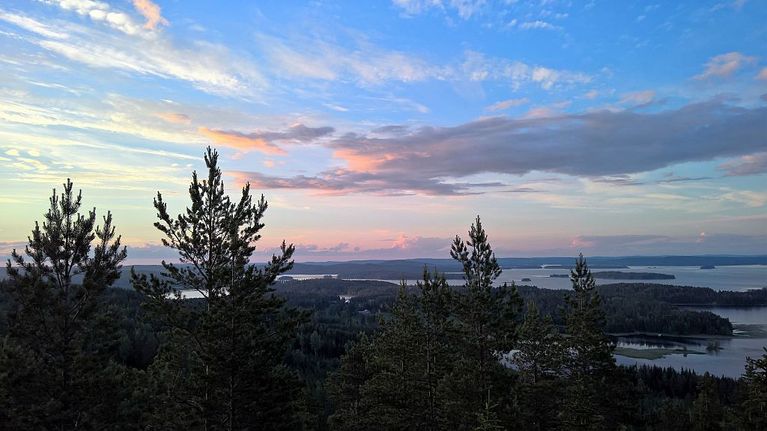 Metsämaisema.