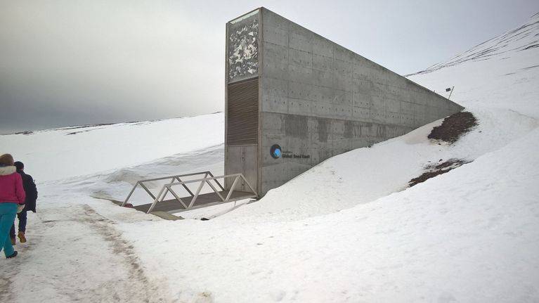 Huippuvuorten siemenholvi perustettiin vuonna 2008