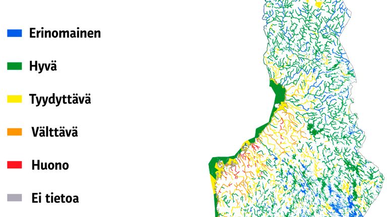 Grafiikka