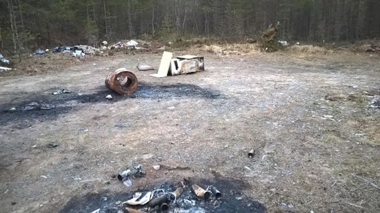 Roskia keskellä metsää.