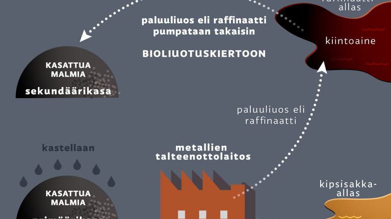 Grafiikka