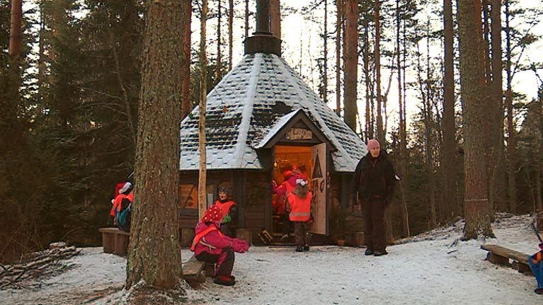 kota keskellä metsää