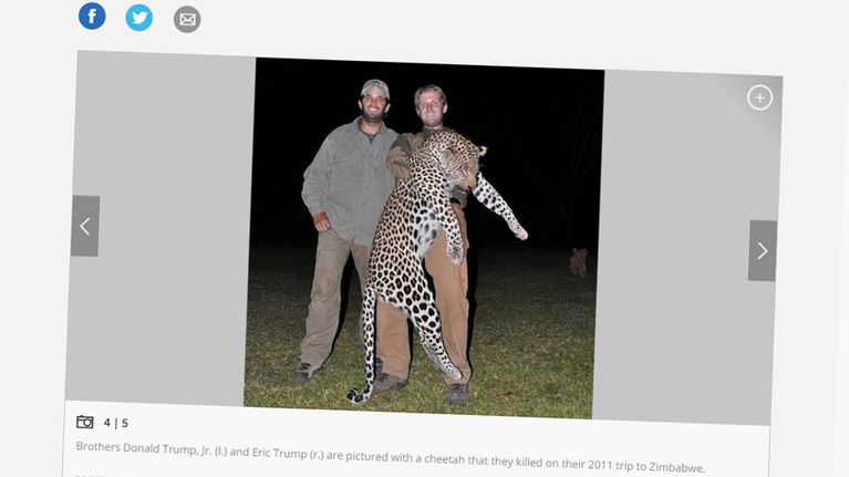 Trumpin pojat poseeraavat tappamansa leopardin kanssa Zimbabwessa vuonna 2012.