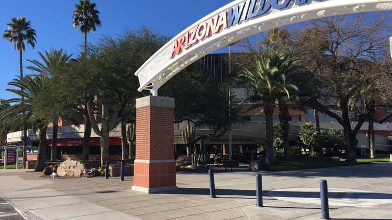 Arizona Wildcats