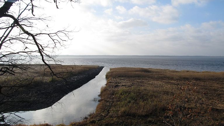 Pienen joen suu ruohikkoisella järvenranta-alueella. 