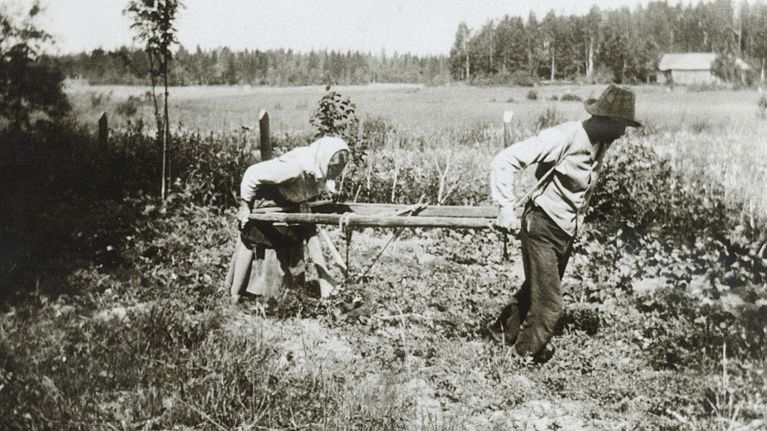 Nainen kyntää peltoa miehen vetämällä auralla.