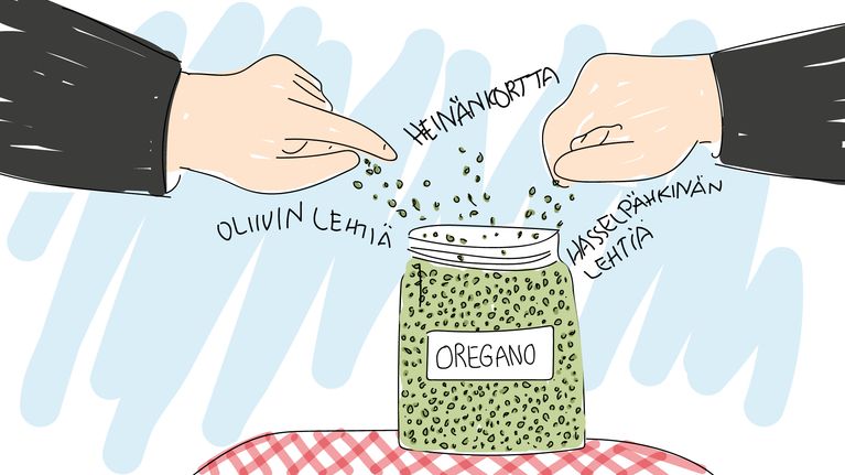 Oliivin lehtiä, heinänkortta ja hasselpähkinän lehtiä oreganona -piirros