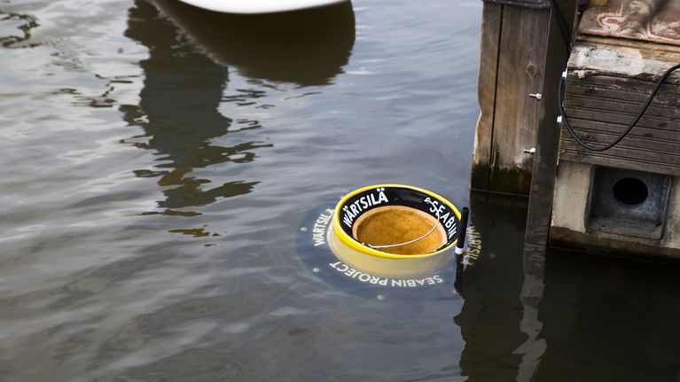 Meriroskis vedessä