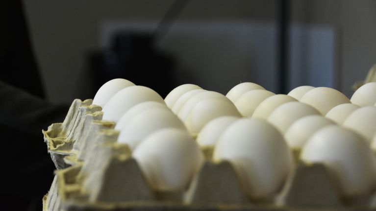 Kangaskosken kanalan kananmuna Ylitornino Mellakoskella.