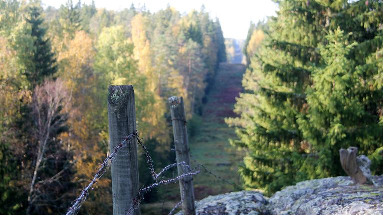 Suomen mahdollisen raja-aidan tiellä monta estettä – muutaman vuoden ...
