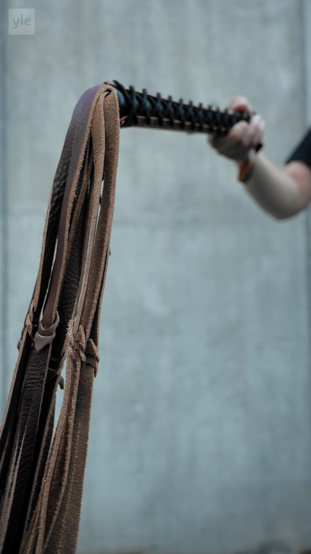 Piiska | Yle Keski-Suomen ja Etelä-Savon videot | Yle Areena