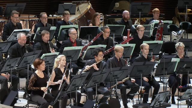 Katso video Yle Areenassa