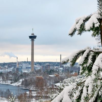 Kuuset ja Näsinneula
