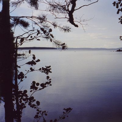 järvimaisema, värikuva