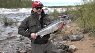 Kalasaalis Tornionjoella