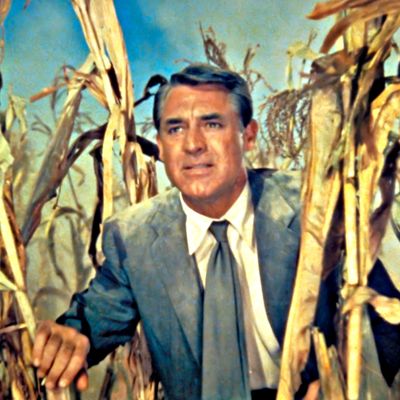 Cary Grant elokuvassa Vaarallinen romanssi
