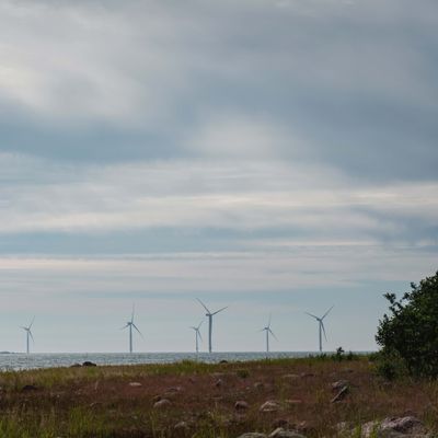 Tuulimyllyjä taivaanrannassa, merta