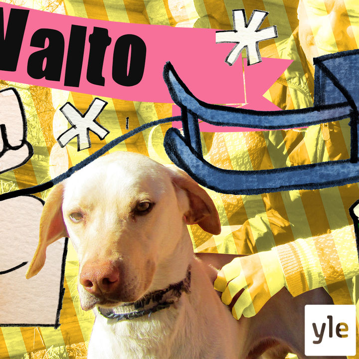Rekikoira Valto episode artwork
