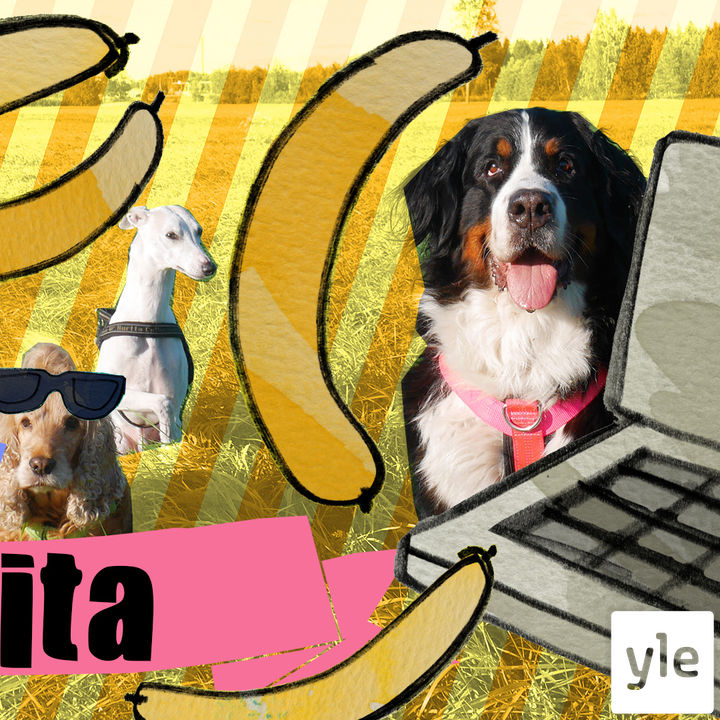 Somepäällikkö Anita episode artwork