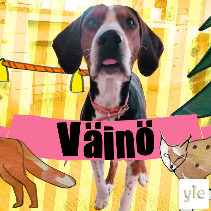 Kettukoira Väinö episode artwork